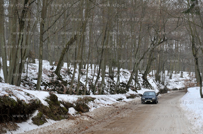 Lesna droga pomiedzy Sulminem na Kaszubach, a Otominem....