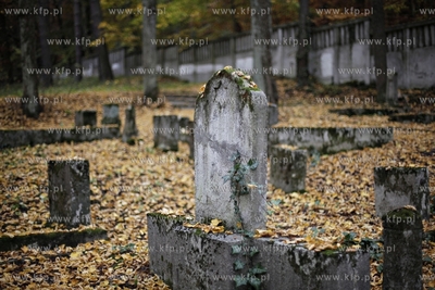 Sopot. Zydowski cmentarz.
24.10.2012
fot. Krzysztof...