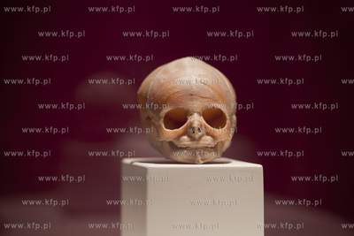 Wystawa o ciele ludzkim Human Body.
30.04.2013
fot....