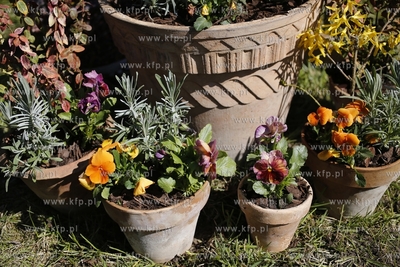 Zespół Szkół Architektury Krajobrazu i Handlowo-Usługowychw...