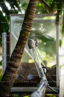 Uniwersytet Gdanski. Wydzial Biologii. Formikarium...