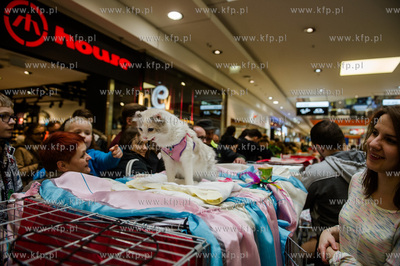 Gdansk. Wrzeszcz. Dzien Kota w CH Galeria Baltycka.
21.02.2016
fot....