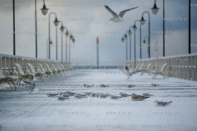Gdynia. Orłowo. Skutki nocnego sztormu na Bałtyku....