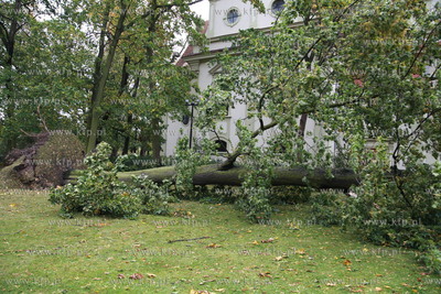 Sopot. Skutki wichury, ktora szalala w nocy w Sopocie....