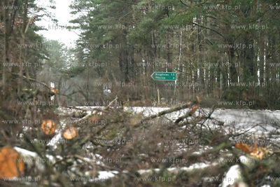 Trwa szacowanie szkod wyrzadzonych przez ostatnie wichury...