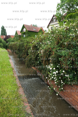 Gdansk Wrzeszcz, Park nad Strzyza.
02.07.2009
fot....