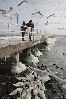 Gdynia. Bulwar nadmorski. Nz spacerowicze dokarmiaja...