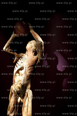 Wystawa o ciele ludzkim Human Body.
30.04.2013
fot....