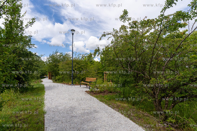 Wzgórze Suchanino to nowy punkt widowowy na gdańskim...