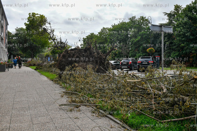 Zwalone drzewo po nawałnicy na Podwalu Staromiejskim...