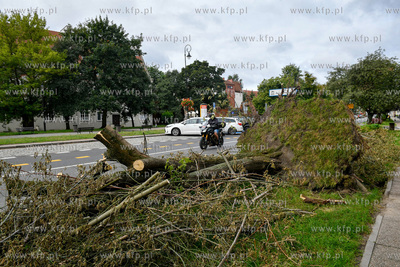 Zwalone drzewo po nawałnicy na Podwalu Staromiejskim...