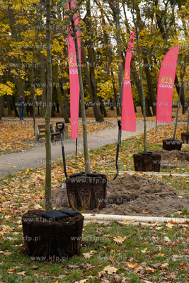 Park Przymorze. Inauguracja cyklu jesiennych nasadzeń...