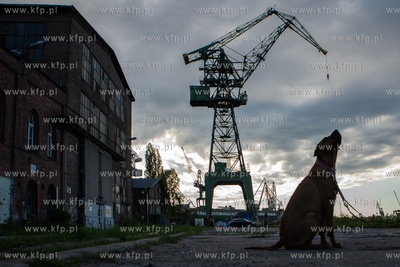 Wejście na Żuraw M3 - Stocznia Cesarska. 13.06.2020...