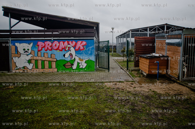 Gdansk. Schronisko dla bezdomych zwierzat Promyk. Akcja...