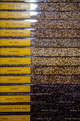 Miedzynarodowe Targi Gdanskie Amber Expo. Hevelka -...