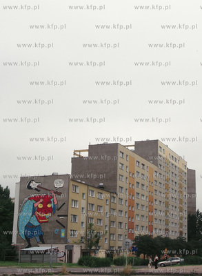Ozdobne murale na blokach S.M. Zaspa
23.07.2009
fot....