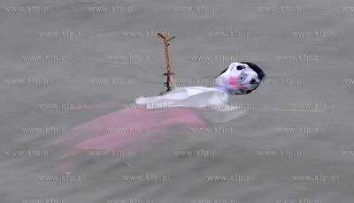 Pierwszy dzien kalendarzowej wiosny w Gdyni. Nz. Unoszaca...