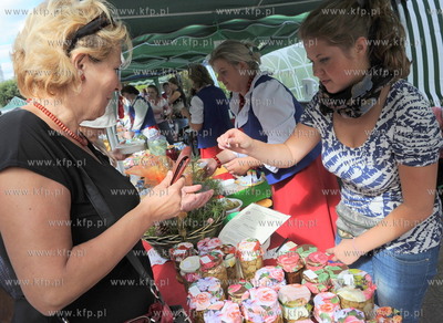 Plac Kuracyjny przy molo w Sopocie. Lesny Festyn Edukacyjny...