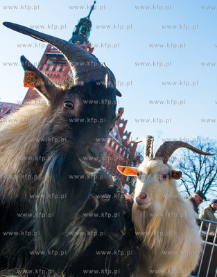 Słupsk. Po raz czwarty przez Słupsk przeszedł orszak...