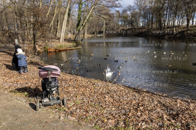 Park w Wojanowie w gminie wiejskiej Pruszcz Gdański....