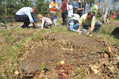 "Las ojców" - czyli sadzenie drzewek przez gdanskich...
