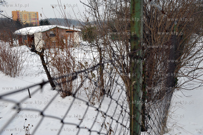 Ogrodki dzialkowe na ul. Wita Stwosza w gdansku Oliwie.
06.01.2011
fot....