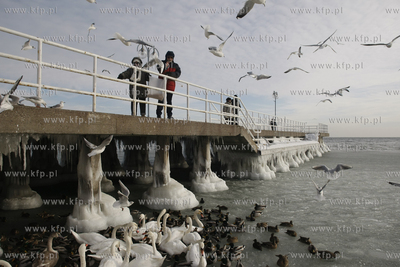 Gdynia. Bulwar nadmorski. Nz spacerowicze dokarmiaja...