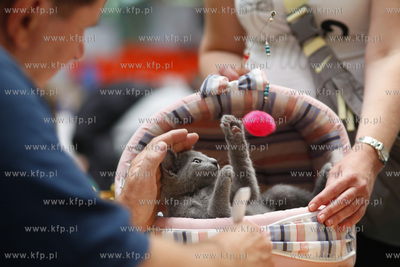 Sopot. Hala 100-lecia Sopotu. Miedzynarodowa Wystawa...