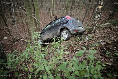Sopot.Ul.Malczewskiego. Fiat Punto wypadl z drogi....