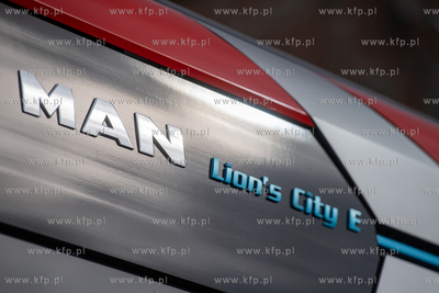 Targ Węglowy w Gdańsku. Piknik rodzinny podczas którego...