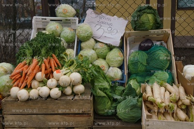 Gdańsk, Zielony Rynek. DrożyznaPlus w polskich sklepach...