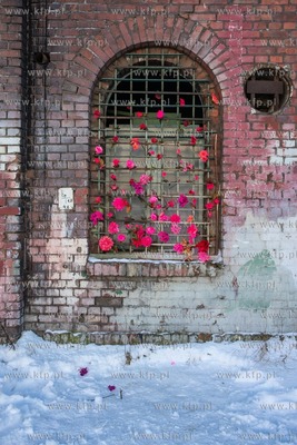 Gdańsk, Stocznia Cesarska. 14.02.2021 / fot. Anna...