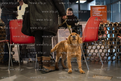 Gdańsk. Centrum Informacyjne dla Uchodźców z Ukrainy...