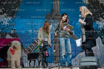 Sopocki Rynek Artystyczny i Ludowy Sopotello. Psia...