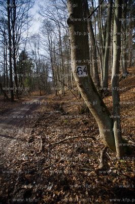 Gdansk. Oliwa, Trojmiejski Park Krajobrazowy. Sciezka...