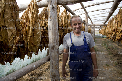 Polskie Stwolno woj. kujawsko-pomorskie  Nz. Gospodarstwo...
