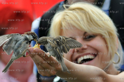 Turysci karmia magdalenkami z reki ptaki na Placu Jana...
