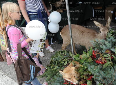 Plac Kuracyjny przy molo w Sopocie. Lesny Festyn Edukacyjny...