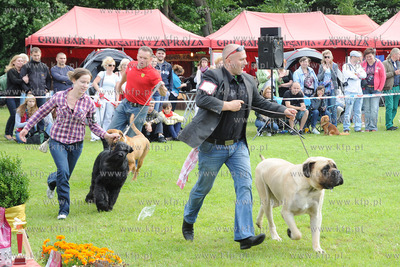 W Zespole Dworsko - Parkowym  w Gdyni Kolibkach odbyla...