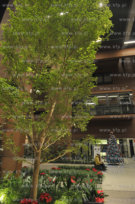 Europejskie Centrum Solidarnosci. Gdansk. Swiateczny...