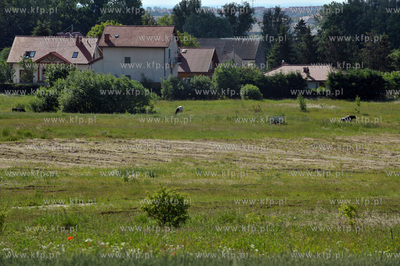 Gdansk, Szadolki. Tereny pod kolejne inwestycje mieszkaniowe....