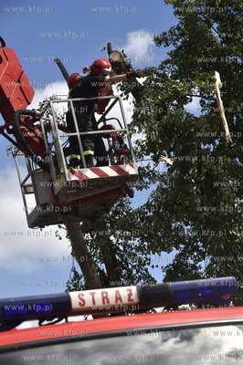 Skutki wichury na Pomorzu.  Raduń na Kaszubach, gmina...