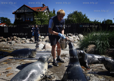 Hel. Fokarium.
27.06.2009
fot. Krzysztof Mystkowski...