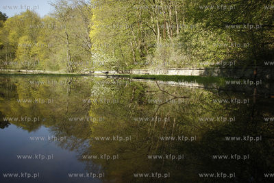 Sopockie Morskie Oko czyli Staw Nowowiejskiego malowniczy...