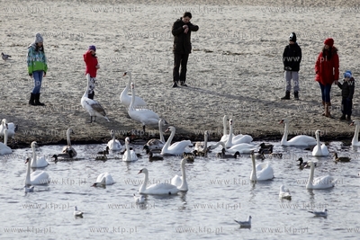 Sloneczny dzien na sopockim molo.
18.02.2014
fot....