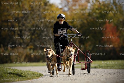 Gdańsk. Park Reagana. Pucharu Polski Psich Zaprzęgów...
