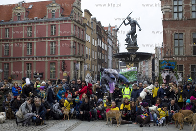 Spacer podopiecznych gdańskiego schroniska Promyk...