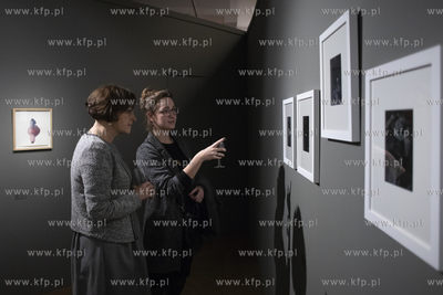 Muzeum Narodowe w Gdańsku oddział Zielona Brama....