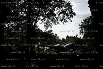 Berlin stolica Niemiec. Nz. Opuszczone wesole miasteczko...