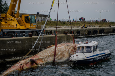 Port Wojenny na Helu. Akcja podnoszenia i transportu,...